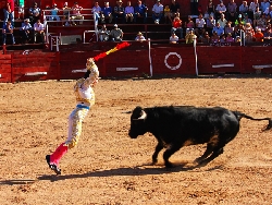 Atienza - Fiestas Patronales Santísimo Cristo - Corrida de novillos
