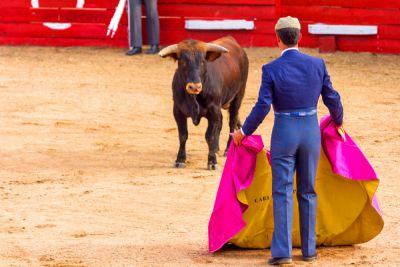 Atienza - Fotografías de las fiestas de Atienza 2017 - Festejos taurinos